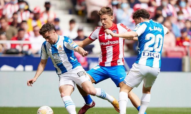 见证这场足 见证这场足